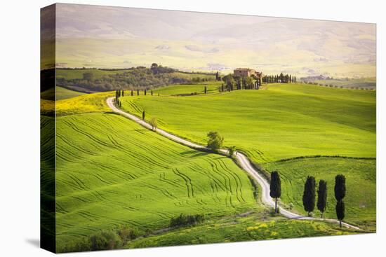 Pienza, Val d'Orcia, Tuscany-Francesco Riccardo Iacomino-Premier Image Canvas