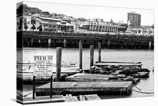 Pier 39 - Fisherman's Wharf - San Francisco - Californie - United States-Philippe Hugonnard-Premier Image Canvas