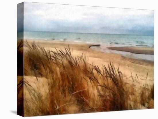 Pier Cove Beach With Autumn Grasses-Michelle Calkins-Stretched Canvas