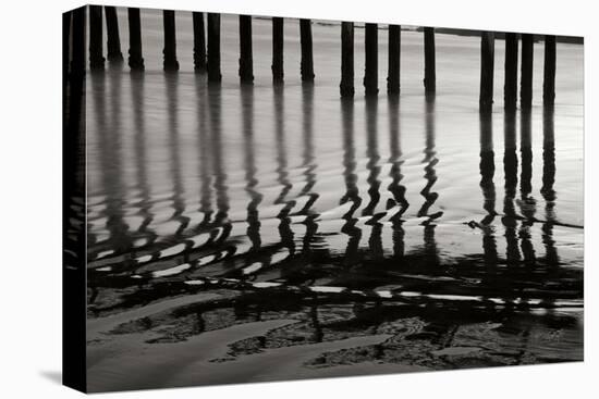 Pier Pilings 14-Lee Peterson-Premier Image Canvas