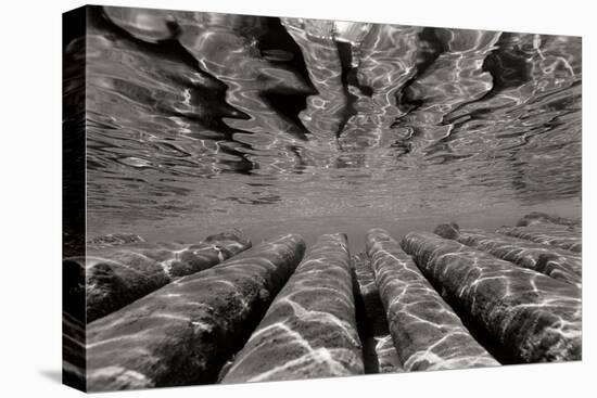 Pier Pilings 3-Lee Peterson-Premier Image Canvas