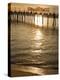 Pier, Redondo Beach, California, United States of America, North America-Richard Cummins-Premier Image Canvas