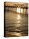 Pier, Redondo Beach, California, United States of America, North America-Richard Cummins-Premier Image Canvas