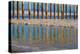 Pier Reflections I-Lee Peterson-Stretched Canvas