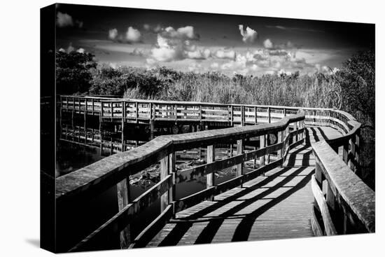 Pier Trail - Everglades National Park - Unesco World Heritage Site - Florida - USA-Philippe Hugonnard-Premier Image Canvas