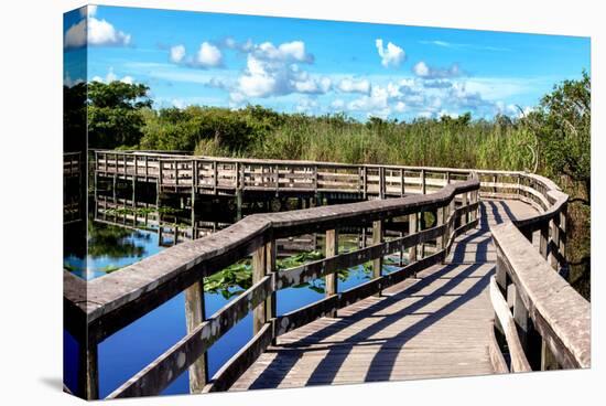 Pier Trail - Everglades National Park - Unesco World Heritage Site - Florida - USA-Philippe Hugonnard-Premier Image Canvas