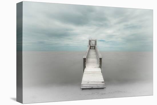 Pier-Martin Steeb-Premier Image Canvas