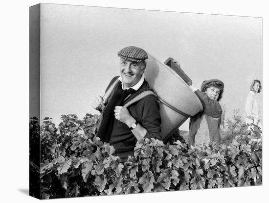 Pierre Tchernia During Grape-Harvest in Libourne, France, September 1986-null-Stretched Canvas
