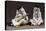 Pierrot and Pierrette, Porcelain, Gotha Manufacture, Thuringia, Germany-null-Premier Image Canvas