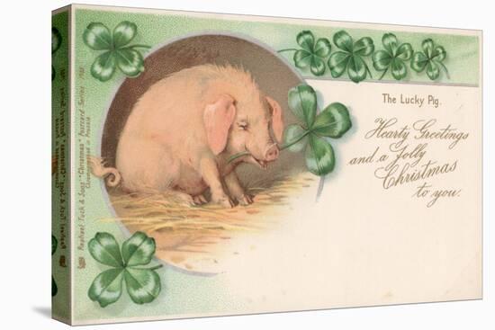 Pig in Clover-null-Premier Image Canvas