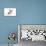 Pig Kune Kune Cross Gloucester Old Spot Piglet-null-Premier Image Canvas displayed on a wall