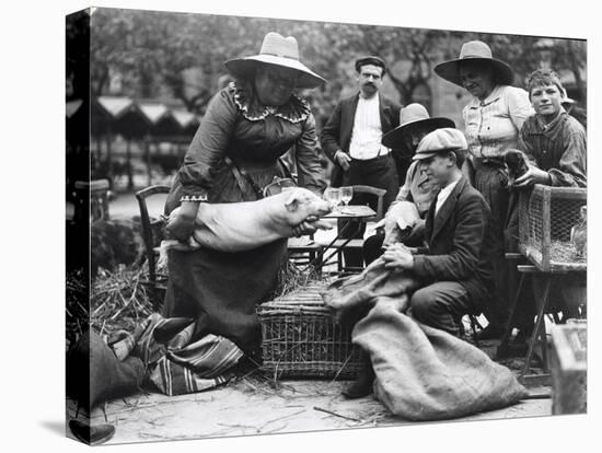 Pig Lady at the Paris Animal Market, 20th Century-Andrew Pitcairn-knowles-Premier Image Canvas