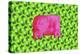 Pig with Green Apples, 2003-Julie Nicholls-Premier Image Canvas
