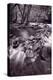 Pigeon Forge River Great Smoky Mountains BW-Steve Gadomski-Premier Image Canvas