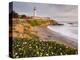 Pigeon Point Lighthouse, Cabrillo Highway 1, California, Usa-Rainer Mirau-Premier Image Canvas