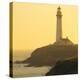 Pigeon Point Lighthouse, Santa Cruz Coast, California, USA-Tom Norring-Premier Image Canvas