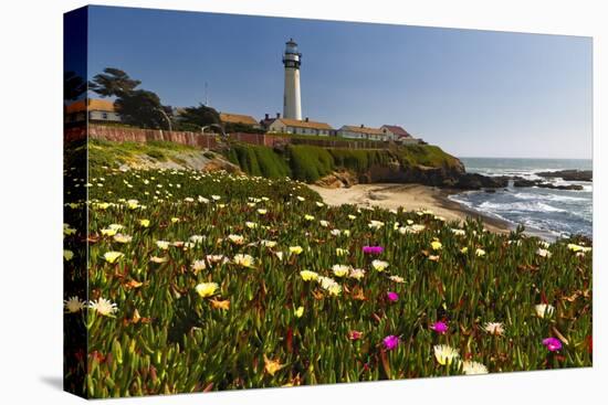 Pigeon Point Spring Vista, California-George Oze-Premier Image Canvas