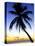 Pigeon Point, Tobago, Caribbean-Doug Pearson-Premier Image Canvas