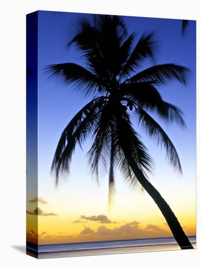 Pigeon Point, Tobago, Caribbean-Doug Pearson-Premier Image Canvas