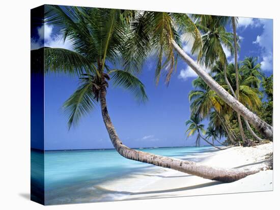 Pigeon Point, Tobago, Trinidad and Tobago-Peter Adams-Premier Image Canvas