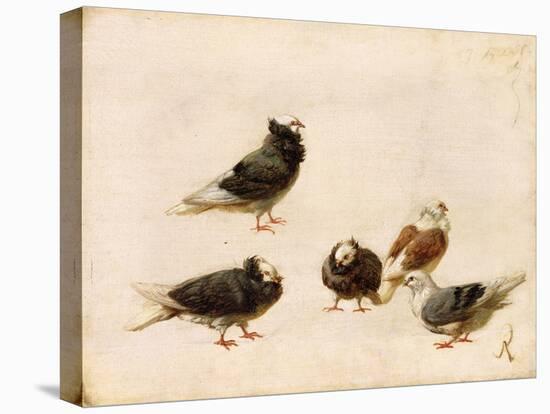 Pigeons, 1888-Jose Ruiz Blasco-Premier Image Canvas