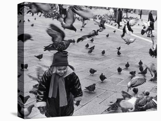 Pigeons in Piazza San Marco, Venice, Veneto, Italy-Walter Bibikow-Premier Image Canvas