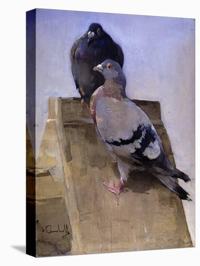 Pigeons on the Roof-Joseph Crawhall-Premier Image Canvas