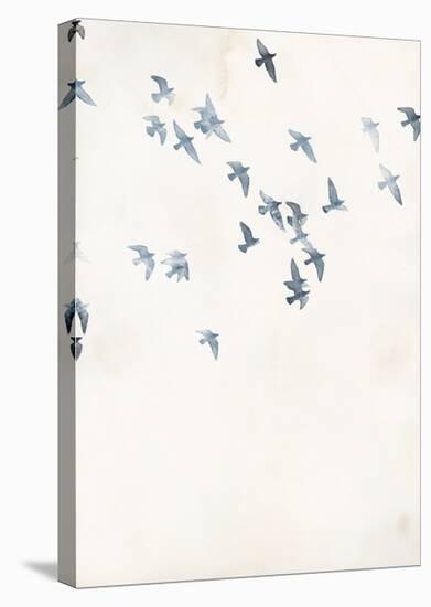 Pigeons Sky-Design Fabrikken-Stretched Canvas