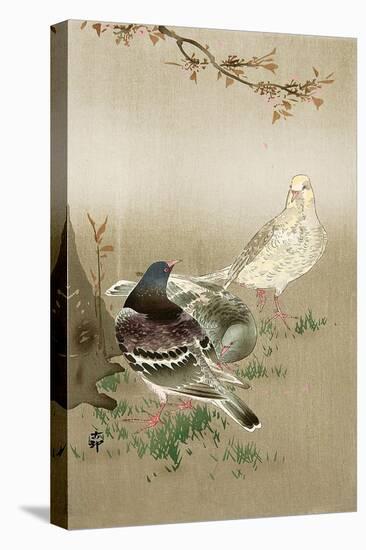 Pigeons under Cherry Tree-Koson Ohara-Premier Image Canvas