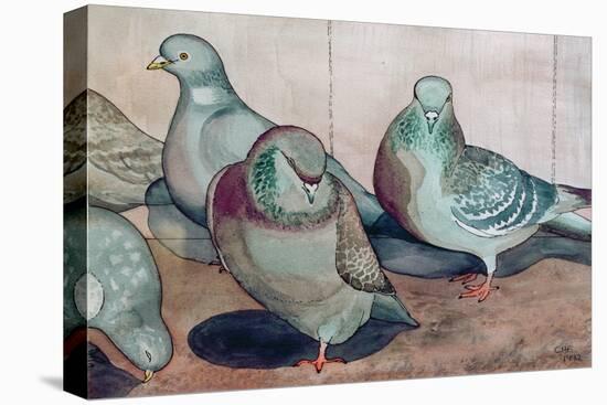 Pigeons-Carolyn Hubbard-Ford-Premier Image Canvas