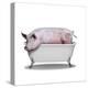 Piggy Bath-Marcus Prime-Stretched Canvas