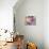 Piggy-Richard Wallich-Premier Image Canvas displayed on a wall