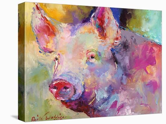 Piggy-Richard Wallich-Premier Image Canvas