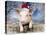 Piglet Looking over Fence Wearing Christmas-null-Premier Image Canvas
