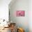 Piglet Sitting on Pink Spotty Blanket-null-Premier Image Canvas displayed on a wall