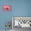 Piglets Standing in a Row on Pink Spotty Blanket-null-Premier Image Canvas displayed on a wall