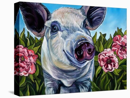 Pigs and Peonies-Kathryn Wronski-Stretched Canvas