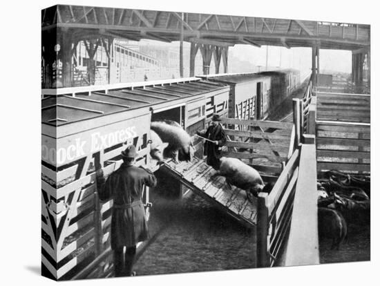 Pigs Arriving at the Chicago Stockyards to Be Converted into Pork Chops and Sausages-null-Premier Image Canvas