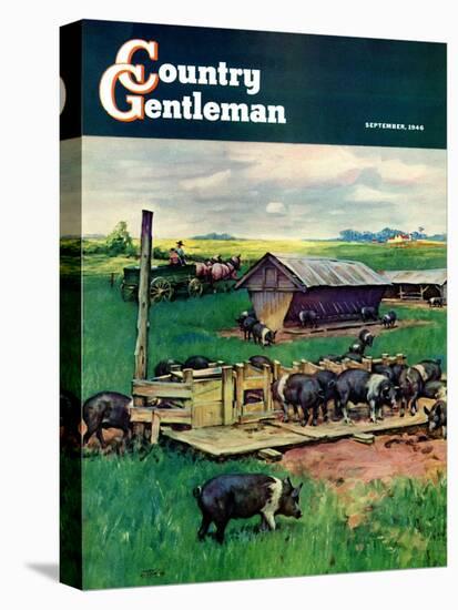 "Pigs Feeding," Country Gentleman Cover, September 1, 1946-Matt Clark-Premier Image Canvas