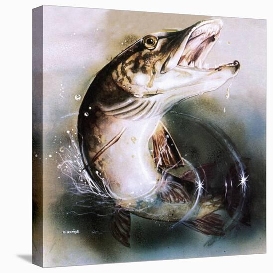 Pike Leaping-English School-Premier Image Canvas