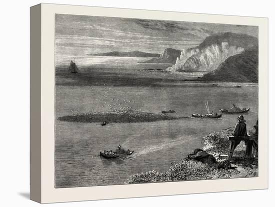 Pilchard Fishing of the Lizard, the South Coast, UK, 19th Century-null-Premier Image Canvas