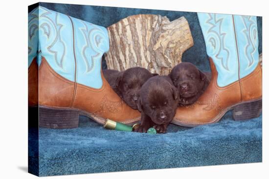 Pile of Sleeping Labrador Retriever Puppies-Zandria Muench Beraldo-Premier Image Canvas