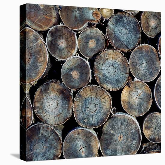 Pile of Wood Logs Ready for Winter Close-Up Texture-Zastolskiy Victor-Stretched Canvas