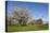 Pilgrimage Church of Birnau Abbey-Markus Lange-Premier Image Canvas