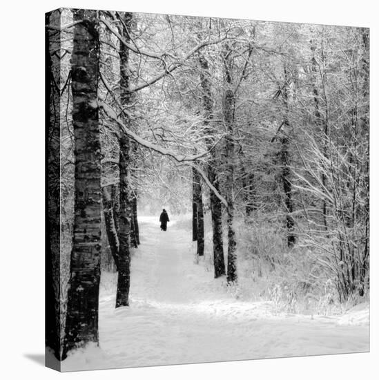 Pilgrims on the Way to the Bogorodichno-Uspenskij Monastery, Tikhvin, Leningrad Region, Russia-Nadia Isakova-Premier Image Canvas