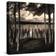 Pilings at the Riverbank-Jody Miller-Premier Image Canvas