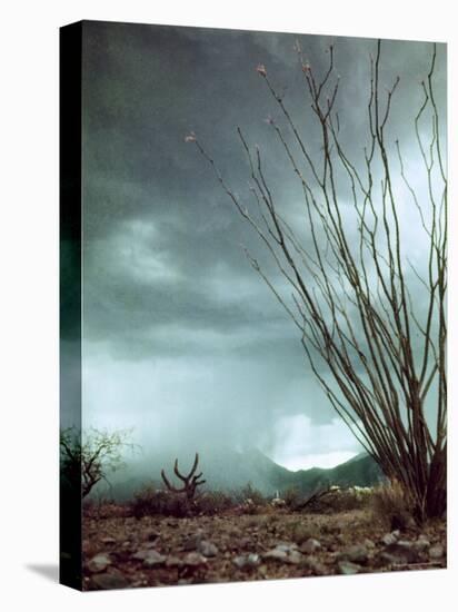 Pillar of Rain Descending From Thunderhead Onto Desert-Loomis Dean-Premier Image Canvas