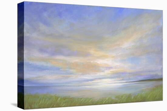 Pillar Point Sky-Sheila Finch-Stretched Canvas