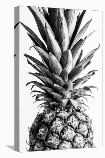 Pinapple Black a White 03-1x Studio III-Premier Image Canvas