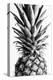 Pinapple Black a White 03-1x Studio III-Premier Image Canvas